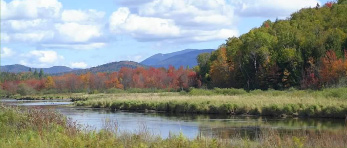 club views saranac lake fish and game club